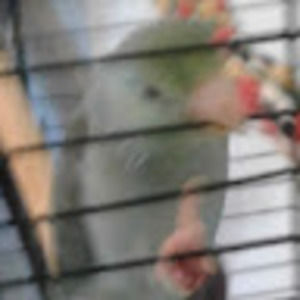 Meet your Posher, Kurt